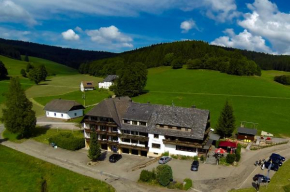 Отель Landgasthof Jostalstüble  Титизее-Нойштадт